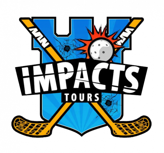 Logo TOURAINE FLOORBALL